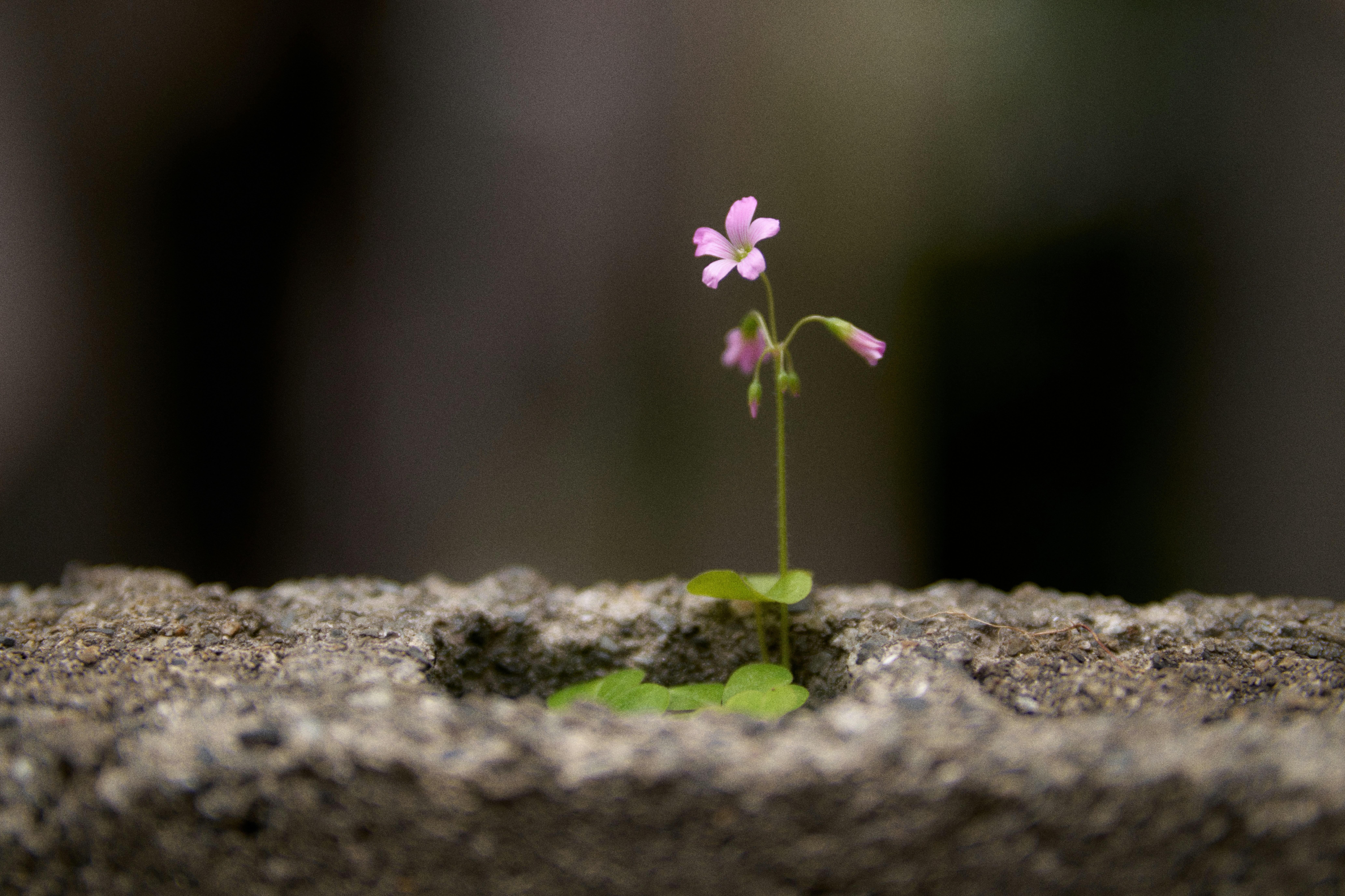 Endometriosis Took Everything It Could From Me. Here Is How I Took My Life Back.