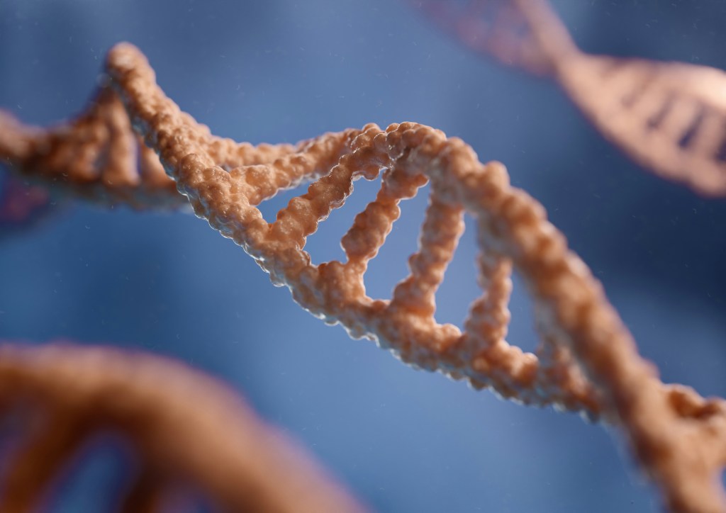 MTHFR gene mutation DNA strand complete guide symptoms supplements natural healing