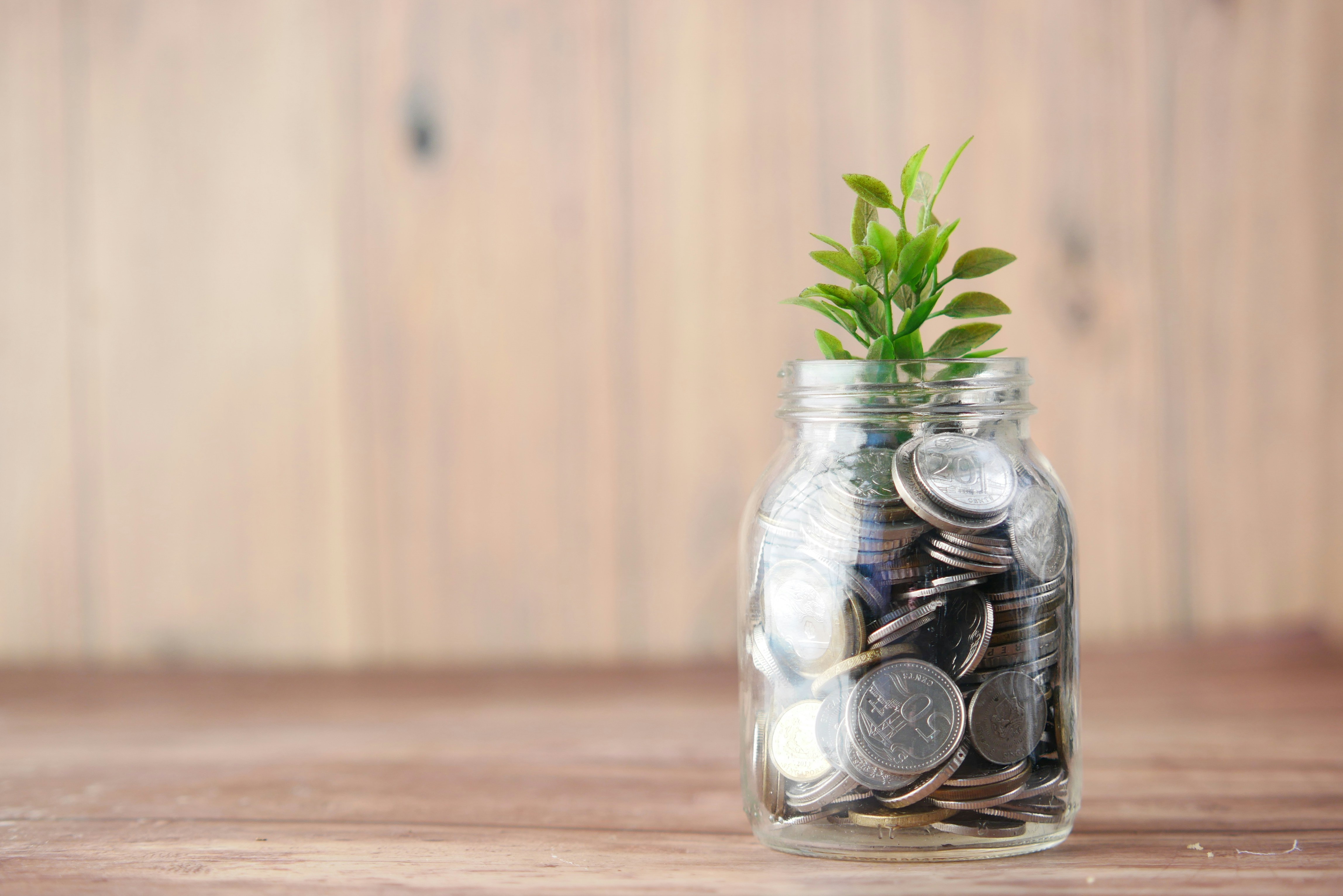 glass jar full of coins with green plant growing save money low tox living